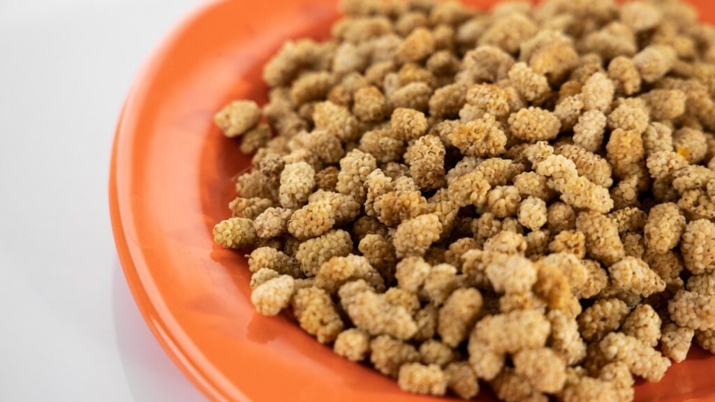 Dried Mulberries