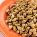 Everything You Need to Know About Dried Mulberries: Nutrition, Uses, and Tips
